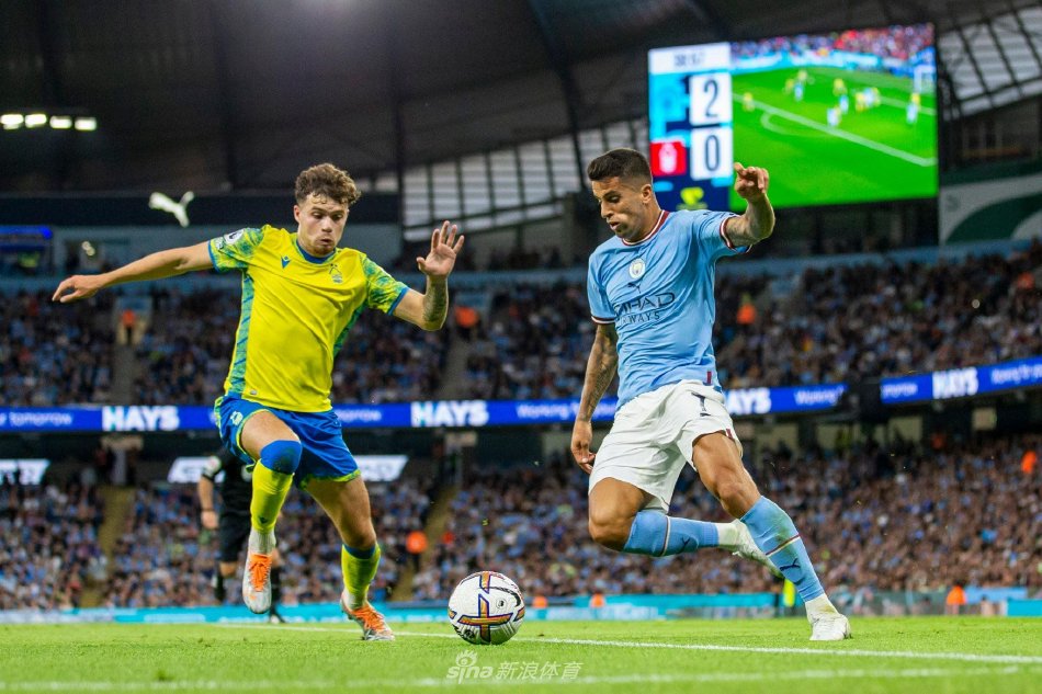 障的托特纳 障的托特纳