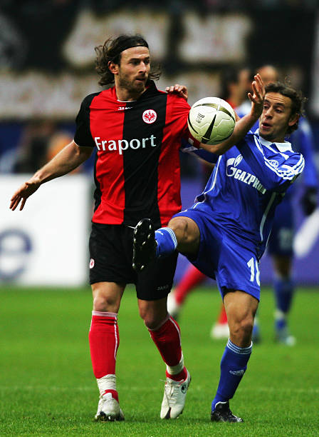 以强有力的 以强有力的